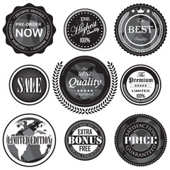 Fototapeta na wymiar retro vintage badges and labels set