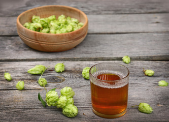 Harvest of hops and a glass with a drink from the hops