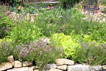 Organic cultivation of herbs and vegetables