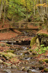 Autumn landscape with the river, Carpathian mountains, Ukraine