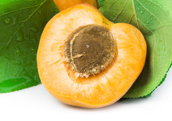 Apricots and leaf white isolated
