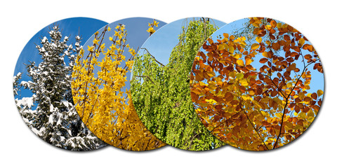 Bilder und Videos suchen: "4 jahreszeiten"