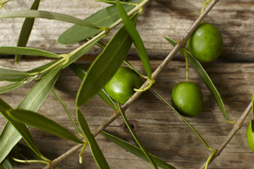 olive branch on the wooden table