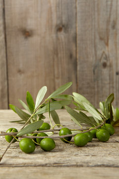 olive branch on the wooden table
