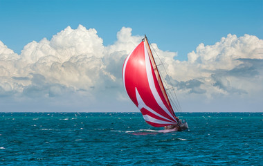 Yacht sailing at waves of the sea