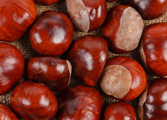 Background of sweet chestnuts