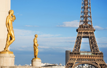 Fototapeta na wymiar Eiffel tower in Paris from Trocadero