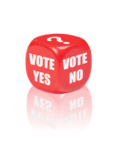 Vote yes no