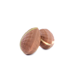 Brown chocolate seashell.