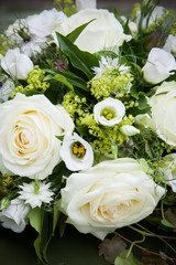 romantic white roses