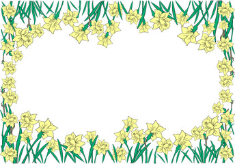 Illustration of abstract narcissi frame