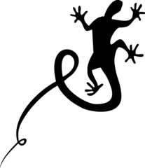 Obraz premium Lizard