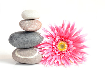 Zen Motiv Wellness