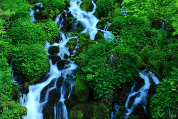 ブナ坂の清水