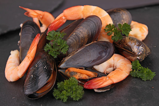 mussel and shrimp