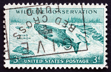 Postage stamp USA 1956 King Salmon Fish