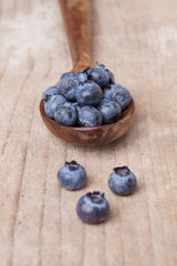 Fresh juicy blueberry fruits on a wooden spoon