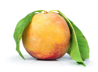 Peach and leaf