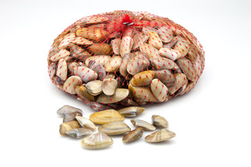 almejas pequeñas