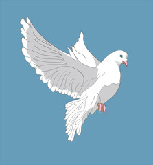 Fluing pigeon
