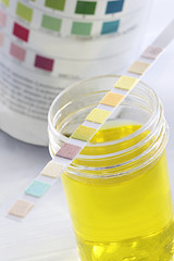 Test urinaire - Bandelette