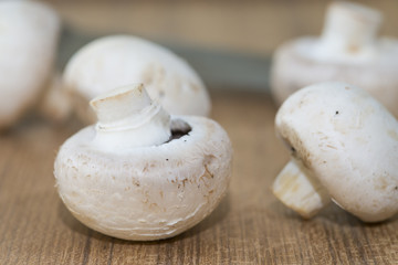 Fresh Agaricus bisporus mushrooms