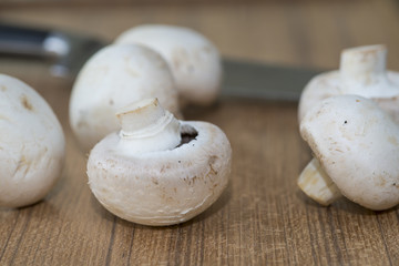 Fresh Agaricus bisporus mushrooms