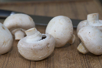 Fresh Agaricus bisporus mushrooms