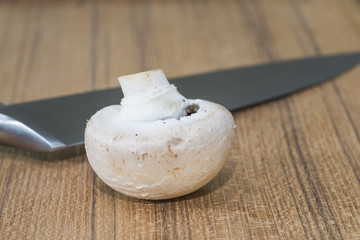 Single white button mushroom