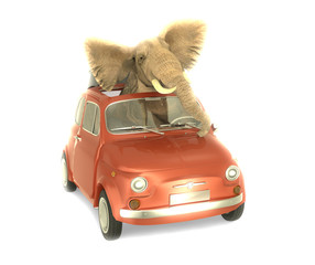 Elefante dentro Pequeño coche Italiano © Giovanni Cancemi