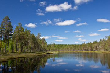 Fototapeta na wymiar Sommer am See bei Lieksa, Finnland