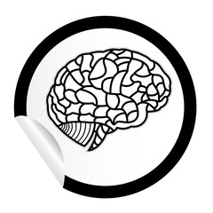 brain model on sticker icon web button