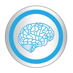 brain model on sticker icon web button. EPS10 illustration