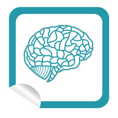 brain model on sticker icon web button. EPS10 illustration