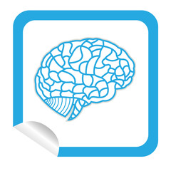brain model on sticker icon web button. EPS10 illustration