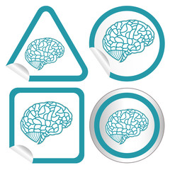 brain model on sticker icon web button