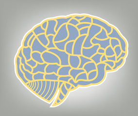 vector brain model