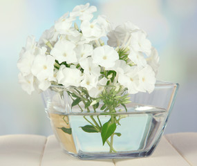 Beautiful bouquet of phlox in bowl on table on light background