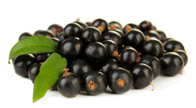 Black Currant Isolated On White