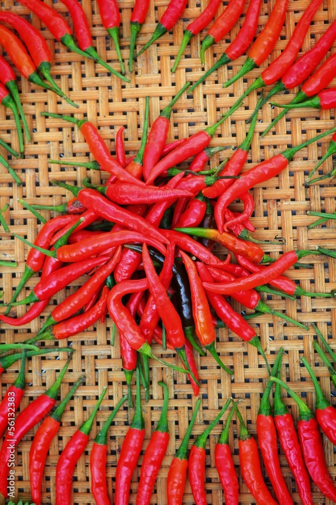 Poster red chili