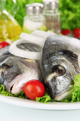 Dorado fish close-up