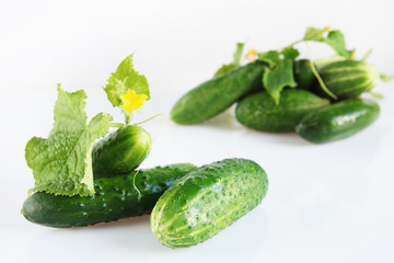 Ripe cucumbers on light surface