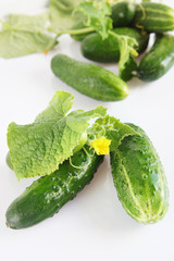 Ripe cucumbers over light background