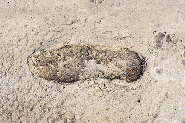 footprint on concrete texture