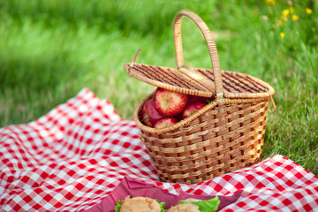 Basket with apples outdoors on grass.