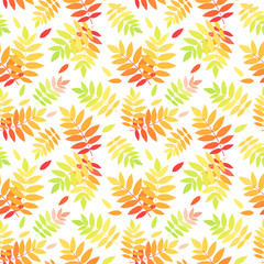 Fototapeta na wymiar Seamless pattern with autumn colorful rowan leaves. Vector.