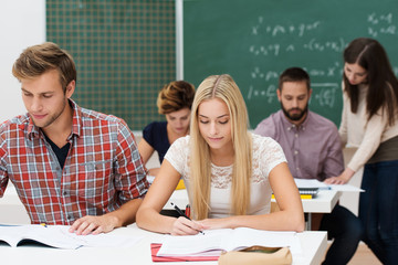studenten arbeiten konzentriert im seminar