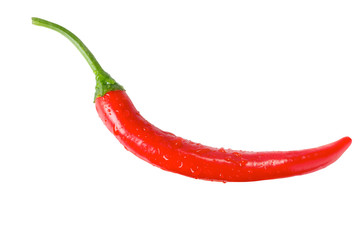 Chili Pepper. Contains Clipping Path
