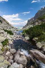 Fototapeta na wymiar Creek in summer mountains - High Tatras, Slovakia, EU