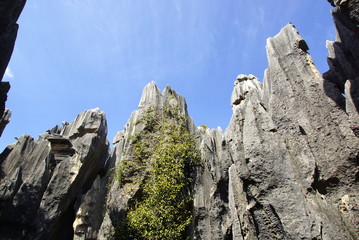 Shilin Stone Forest in Kunming, Yunnan, China  